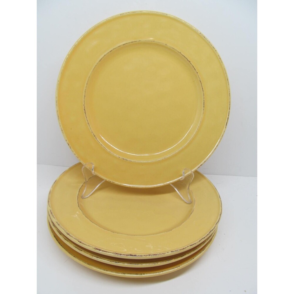 Pier 1 Mango Yellow Set Of 4 Rustic 8 3/4" Salad Plates VGC